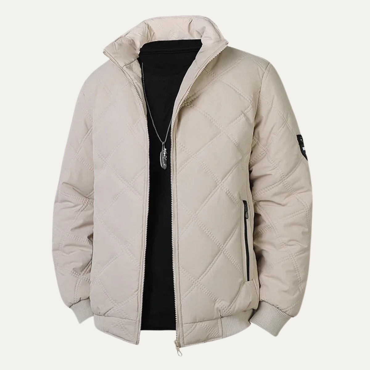 Thick Insulated Quilted Men's Winter Fleece Jacket